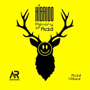 hibrido, roberto lorenzo – Memoria de ácido