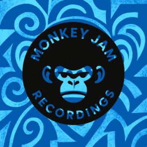 Damir Pushkar – Bungee