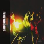Funk Windows – Fela Night