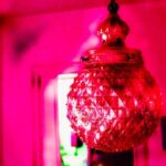 Steve Bicknell – In Order To Remember One Needs To Know_Remastered