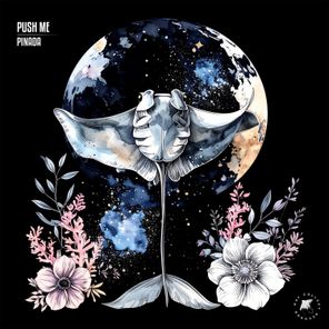 Pinada – Push Me