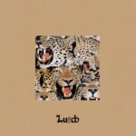 Lunch Money Life – Shard Anthem