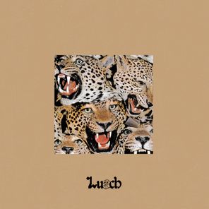 Lunch Money Life – Shard Anthem