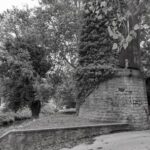 Rudy Serieys – Sunstorm