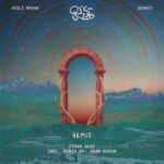 Zigan Aldi, Qualista – Hemit