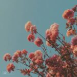 TEKASAE – With You