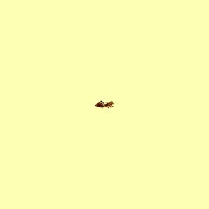 PJ Lucid – CHARIOT