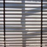 Aysun – INFRACULTURE