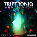 Triptroniq – Wild Geometry EP
