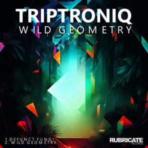Triptroniq – Wild Geometry EP