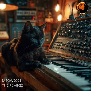 Claudio Solis, Raresh – Meows001 – The remixez