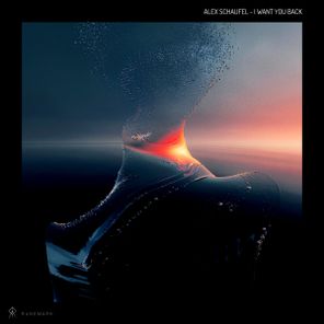 Alex Schaufel – I Want You Back