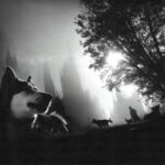 Aamourocean, DJ Geneviève – Thy Land EP