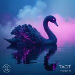 Fancy K – Tact