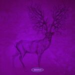 Dan Rubell, Walter Kurtz – Side Effects