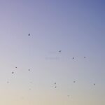 Powel, Huts on Beaches – LUH Remixes