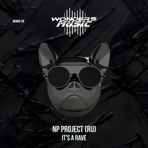 NP Project (RU) – It’s a Rave
