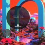 James Cole – Different Time