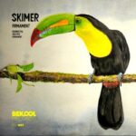 Skimer – Firmament