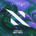 Georgio Safo – Night Forest
