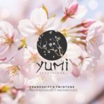 Twintone, Frameshift – A Poison In Disguise / AnotherPlace