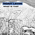 Noah Levin – What Is That