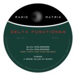 Delta Funktionen, Area Forty_One – Black Endlessness