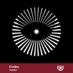 Rauschhaus, Roman Adam – Codec