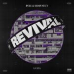Pele & Shawnecy – A Casa