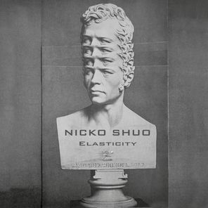 Nicko Shuo – Elasticity
