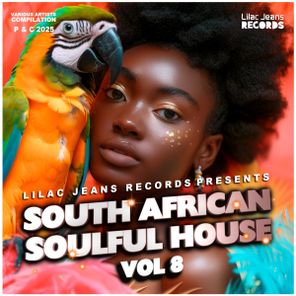 Dav Risen, Ladi Adiosoul – South African Soulful House, Vol. 8