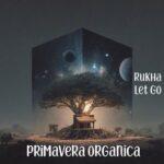 RuKha – Let Go