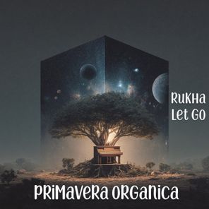 RuKha – Let Go