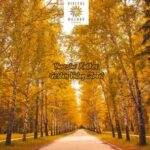 Yaroslav Kulikov – Golden Valley Street