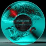 DI.SKORN – Mushroom Place