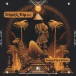 Translippers, Cafe De Anatolia – Oriental Trip, Vol. 7