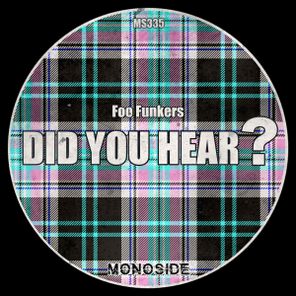 Foo Funkers – Did You Hear?
