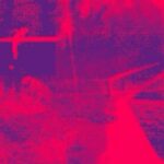 Minas, Ivor Woods – Vultures