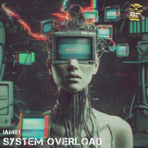 iAM81 – System Overload