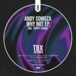 Andy Somoza, Trippy J – Why Not EP