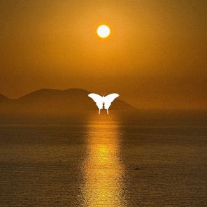 Maikol Beach – The Place EP