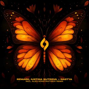 Alex Konstantinov, Remark – Nastya