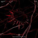 NOUS, D.N.P. – JOYBOY