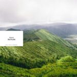 Naws – Solitude
