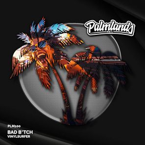 Vinylsurfer – Bad B*tch (Extended Mix)