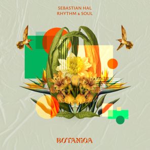 Sebastian Hal – Rhythm and Soul