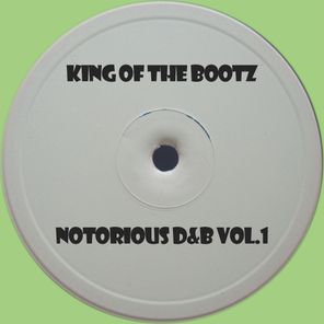 Unknown Artist – Notorious D&B Vol. 1