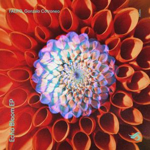 Gonzalo Cotroneo, FAERO – Echo Bloom