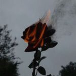 GHEIST, 8Kays – Flowers & Guns