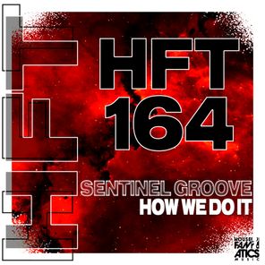 Sentinel Groove – How We Do It